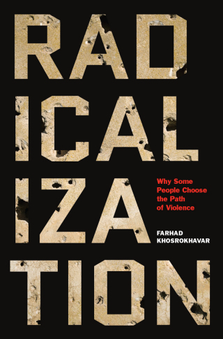 Imagen de portada: Radicalization 9781620972687