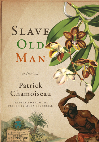 Cover image: Slave Old Man 9781620972953