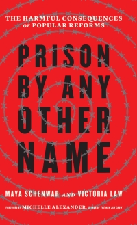 Imagen de portada: Prison by Any Other Name 9781620973103