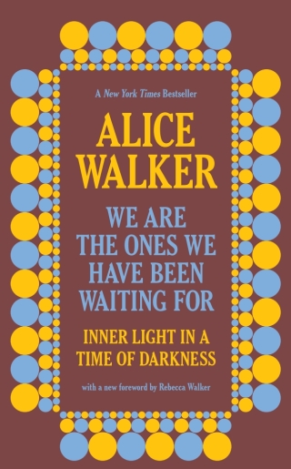 Cover image: We Are the Ones We Have Been Waiting For 9781595581372