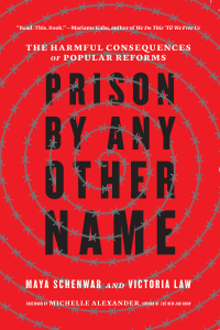 Omslagafbeelding: Prison by Any Other Name 1st edition 9781620973103