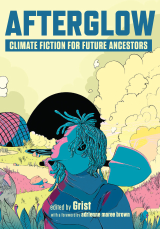 Imagen de portada: Afterglow 9781620977583