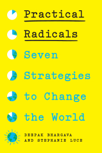 Cover image: Practical Radicals 9781620978214