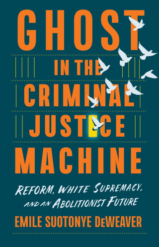Imagen de portada: Ghost in the Criminal Justice Machine 9781620977880