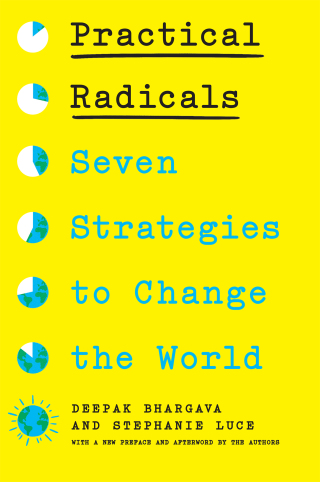 Imagen de portada: Practical Radicals 9781620979815