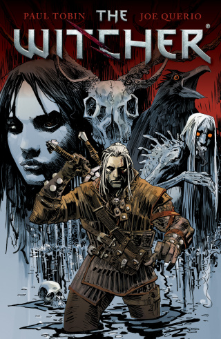 Cover image: The Witcher Volume 1 9781616554743