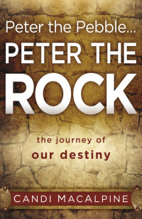 Cover image: Peter the Pebble...Peter the Rock 9781621360513