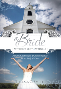 Omslagafbeelding: A Bride Without Spot or Wrinkle 9781616381998
