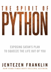 Cover image: The Spirit of Python 9781621362203
