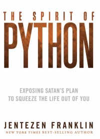 Imagen de portada: The Spirit of Python 9781621362203