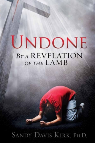 Cover image: Undone 9781621363545