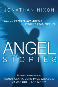 Cover image: Angel Stories 9781621365525
