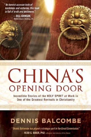 Imagen de portada: China's Opening Door 9781621365723