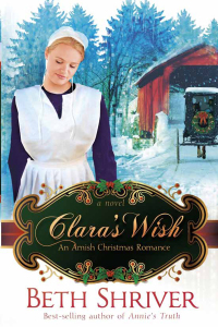 Cover image: Clara's Wish 9781621365976