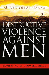Cover image: Destructive Violence Against Men 9781621366669