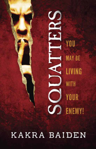 Imagen de portada: Squatters 9781621366928