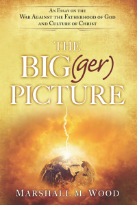 Imagen de portada: The Big(ger) Picture 9781621367024