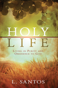 Cover image: Holy Life 9781599797663