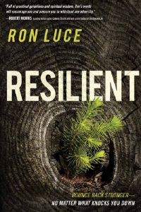 Cover image: Resilient 9781621369714