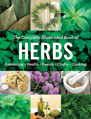 Cover image: The Complete Illustrated Book of Herbs 9781621453147