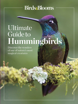 Cover image: Birds & Blooms Ultimate Guide to Hummingbirds 9781621455226