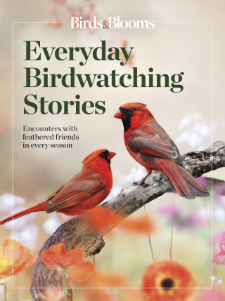 Cover image: Birds & Blooms  Everyday Birdwatching Stories
