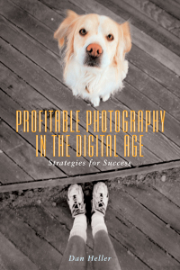 Cover image: Profitable Photography in Digital Age 9781581154122
