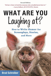 Cover image: What Are You Laughing At? 9781621536000