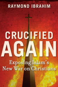 Cover image: Crucified Again 9781621570257