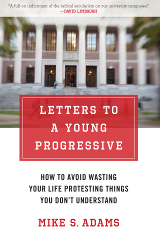 Cover image: Letters to a Young Progressive 9781621570318
