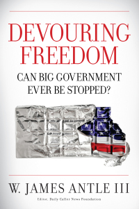 Cover image: Devouring Freedom 9781621570523