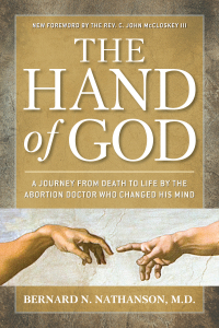 Cover image: The Hand of God 9781621570448
