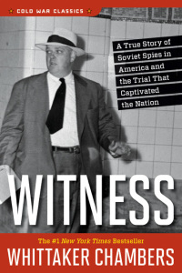 Cover image: Witness 9781621572961