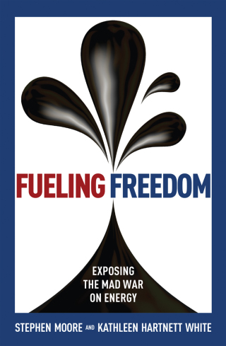 Cover image: Fueling Freedom 9781621574095