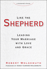 Cover image: Like the Shepherd 9781621575115