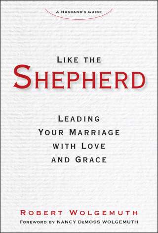 Cover image: Like the Shepherd 9781621575115