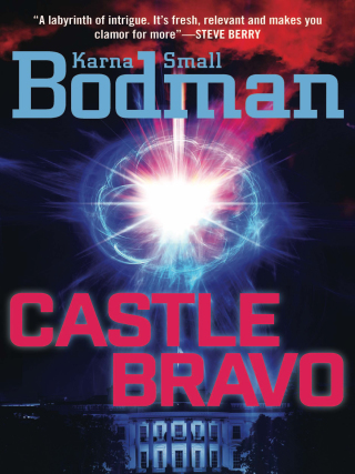 Cover image: Castle Bravo 9781621577836