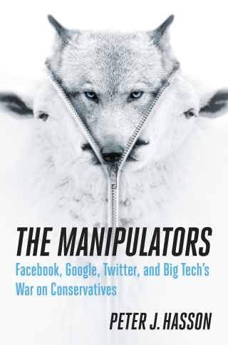 Cover image: The Manipulators 9781621579588