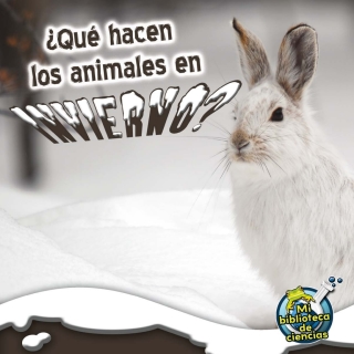Cover image: Qué hacen los animales en invierno? 9781612369211