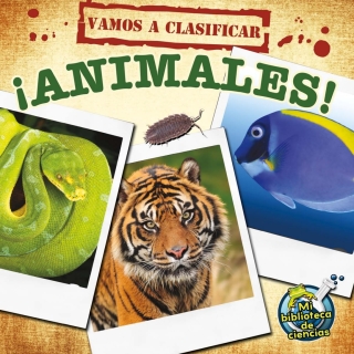 Imagen de portada: Vamos a clasificar animales 9781612369303
