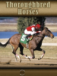 Cover image: Thoroughbred Horses 9781600445835