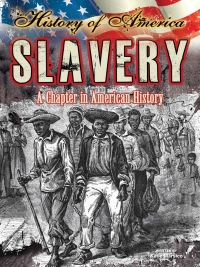 Cover image: Slavery 9781621697275
