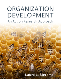 Cover image: Organization Development: An Action Research Approach 1st edition 9781621784456