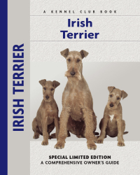 Omslagafbeelding: Irish Terrier 9781593783396