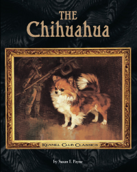 Omslagafbeelding: The Chihuahua 9781593786816