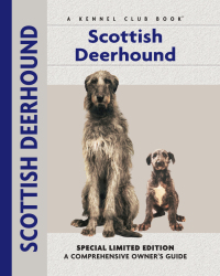 Cover image: Scottish Deerhound 9781593782931