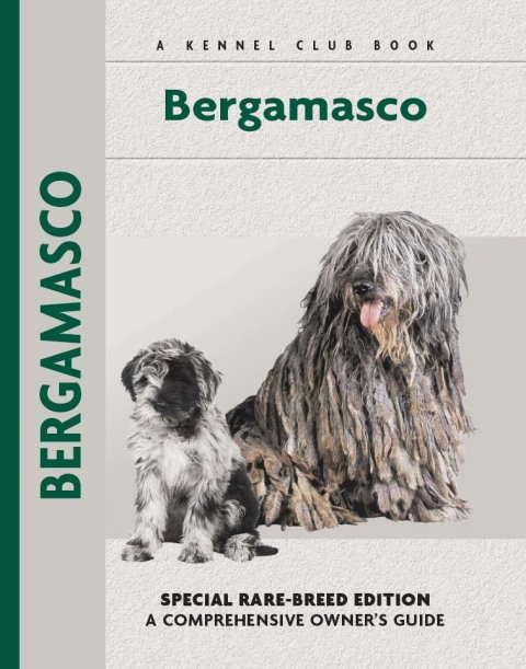 Bergamasco - FULL INSTANT DOWNLOAD | PDF DOCX EPUB