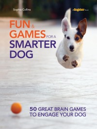 Cover image: Fun and Games for a Smarter Dog 9781621871200