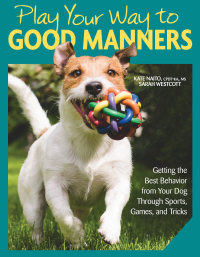 Cover image: Play Your Way to Good Manners 9781621871859