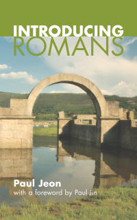 表紙画像: Introducing Romans 9781610973564